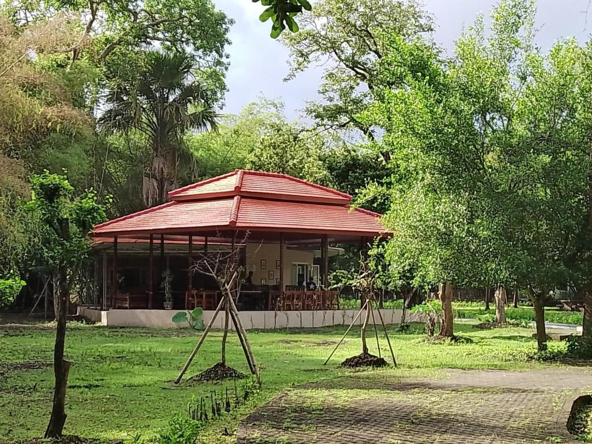 Jawa Jiwa G-Land Resort Dadapan Екстериор снимка